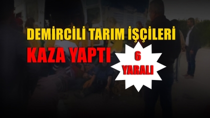 DEMİRCİLİ TARIM İŞÇİLERİ KAZA YAPTI, 6 YARALI