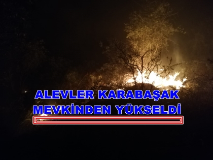 ORMAN YANGININA EKİPLERDEN HIZLI MÜDAHALE