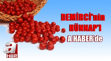 DEMİRCİ'NİN KIRMIZI ALTINI A HABER'DE ( VİDEO HABER )