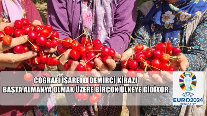 DEMİRCİ KİRAZININ ÇOĞU ALMANYA’YA GİDİYOR