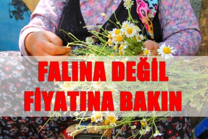 FALINA BAKMAYIN, FİYATINA BAKIN !!!