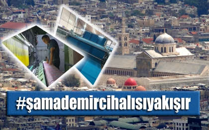 HAYDİ DEMİRCİ ! X’TE BU TAGA DESTEK VER.