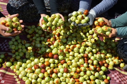DEMİRCİ'DE ÜRETİLİYOR, PAZARLARA VE ULUSAL MARKETLERE GÖNDERİLİYOR.
