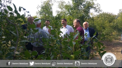 DEMİRCİ HÜNNAP'INA, YENİ BİR TÜR GELİYOR