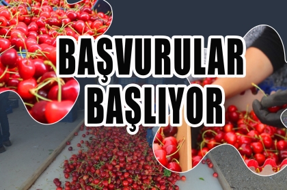 YAŞ MEYVE ALIM MERKEZLERİ KİRALAMA BAŞVURUSU BAŞLIYOR