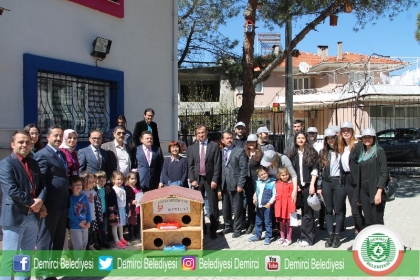 KEDİLER EVSİZ KALMASIN