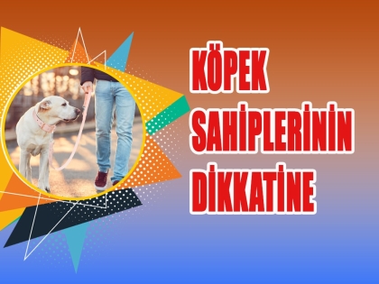 KÖPEK SAHİBİ OLAN VATANDAŞLARIMIZIN DİKKATİNE