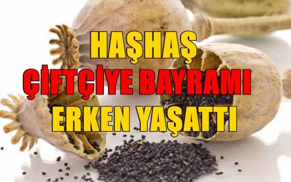 FİYAT 2 KAT ARTTI, ÇİFTÇİ BAYRAMI ERKEN YAŞADI