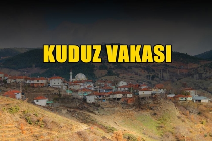 DEMİRCİ'DE KUDUZ VAKASI