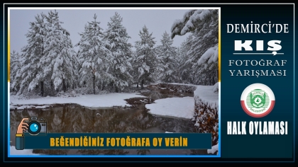 YARIŞMASINDA OY VERME İŞLEMİ BUGÜN SONA ERİYOR