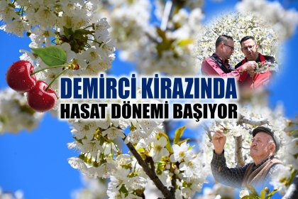DEMİRCİ'DE YAYLALAR BEYAZ GELİNLİĞİ GİYDİ, HEDEF 20 BİN TON