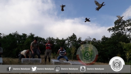 BİN 500 KEKLİK DOĞAYA SALINDI